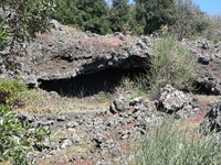 Monte Cicirello